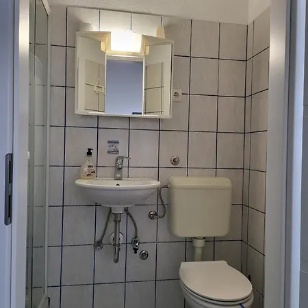Apartament Apartma Ovcica *